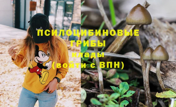 mdpv Аркадак
