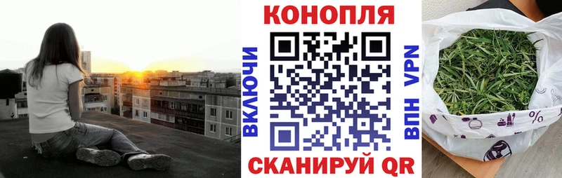 мориарти клад  Афипский  Каннабис конопля 